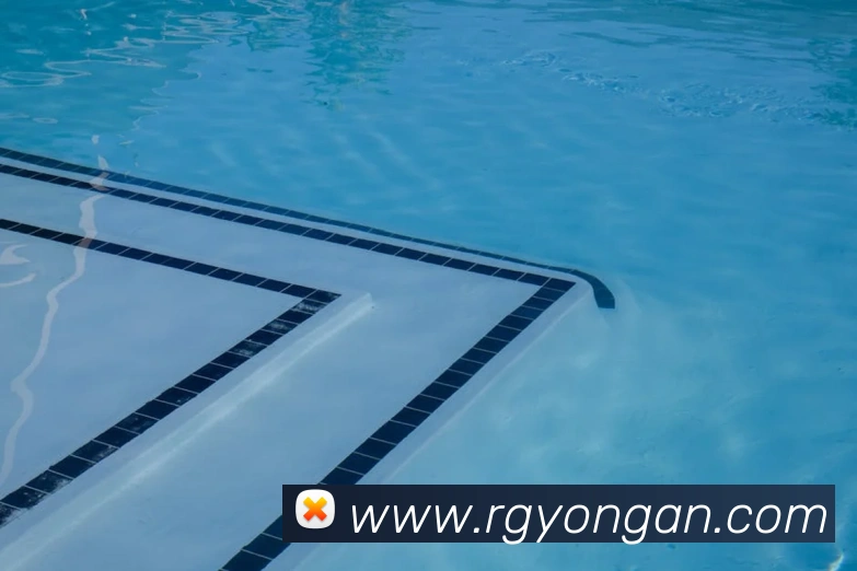 k0k体育免费下载安装ios服务体系